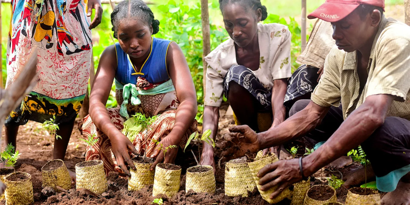 Regenerating Rainforests and Preserving Biodiversity by Implementing Community-designed Solutions in Madagascar